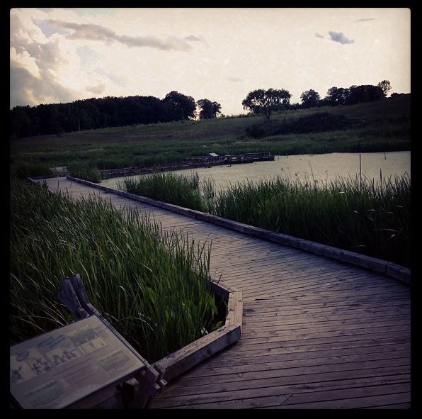 Spring Peeper Meadow