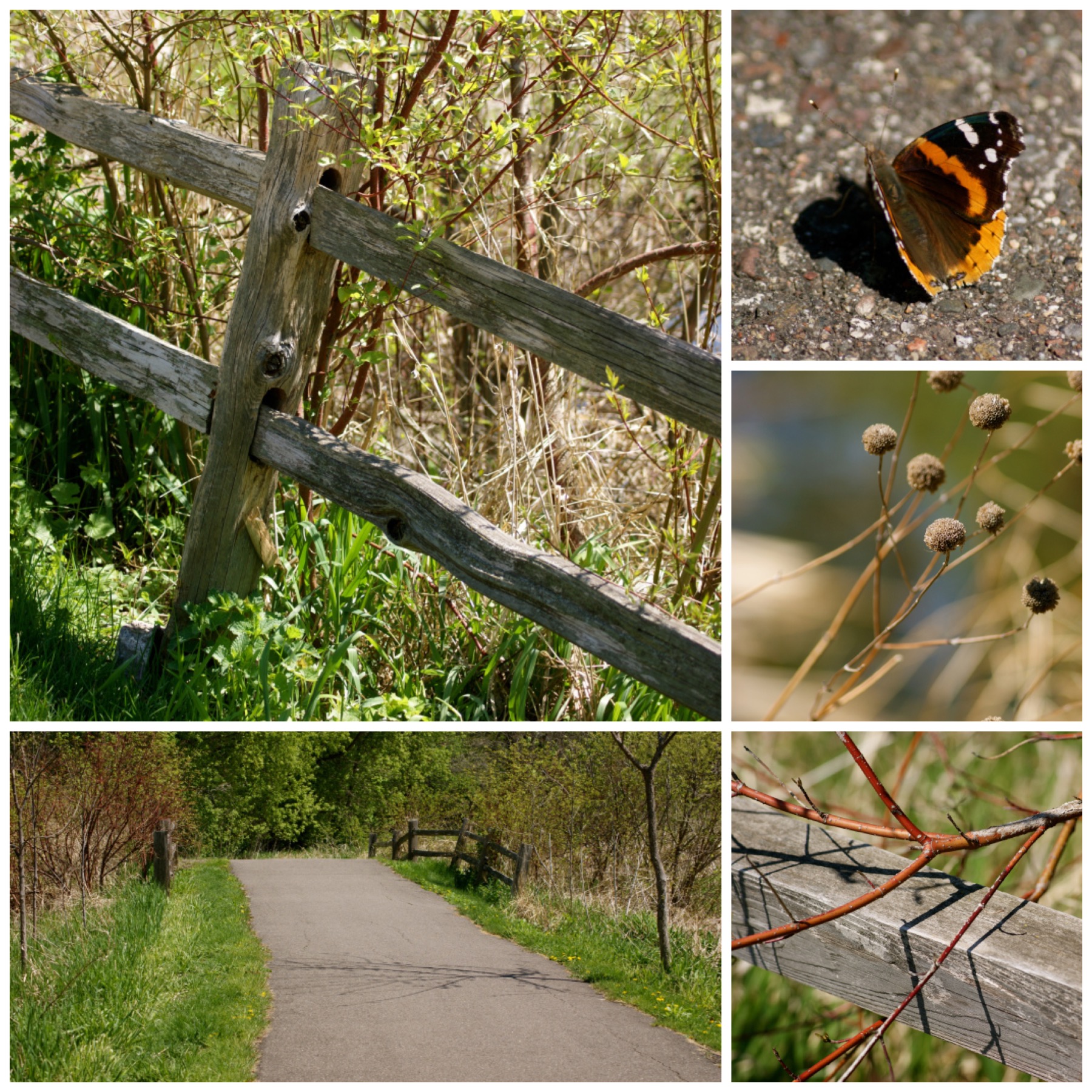 Purgatory Creek Park 
