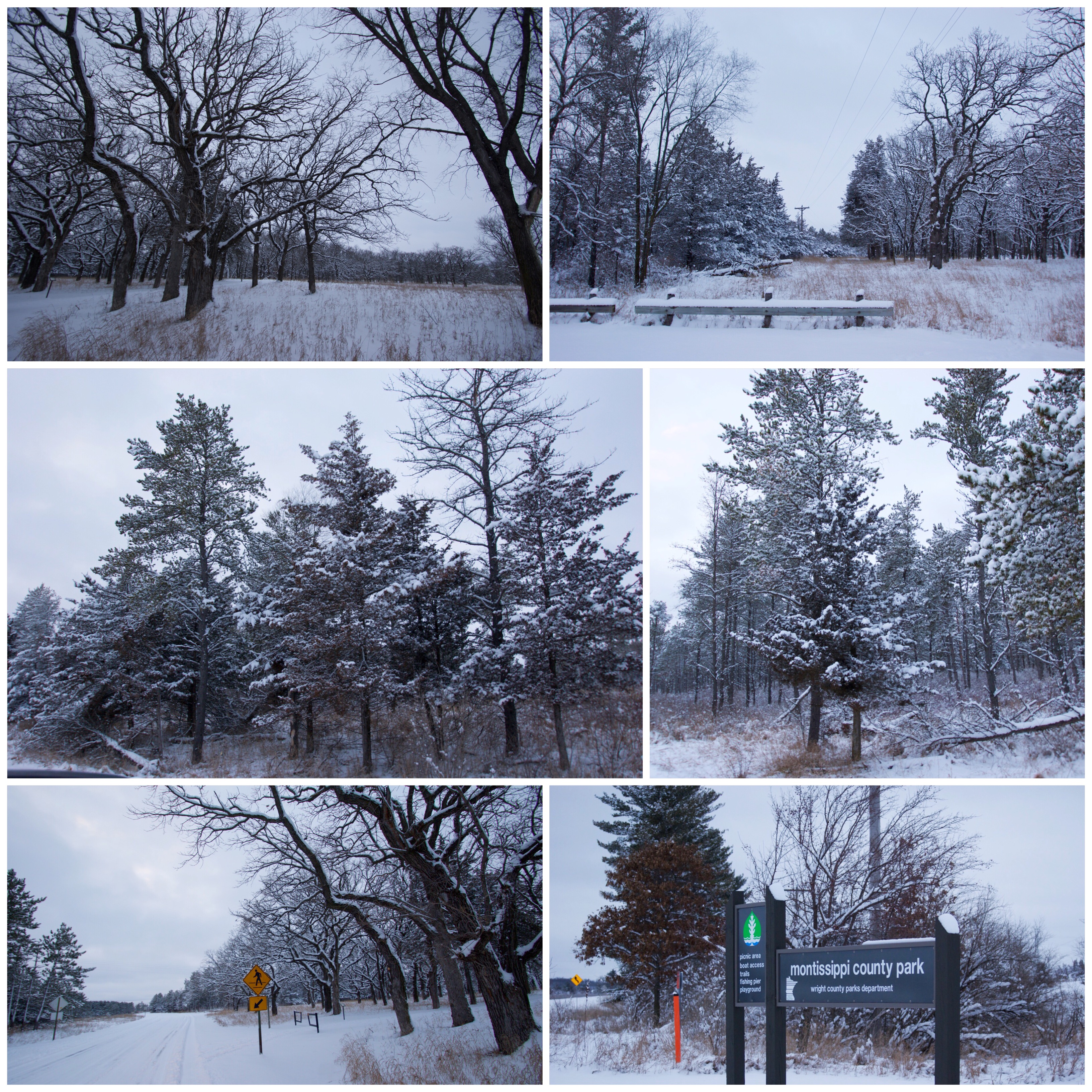 Photo Jan 17, 2 30 44 PM