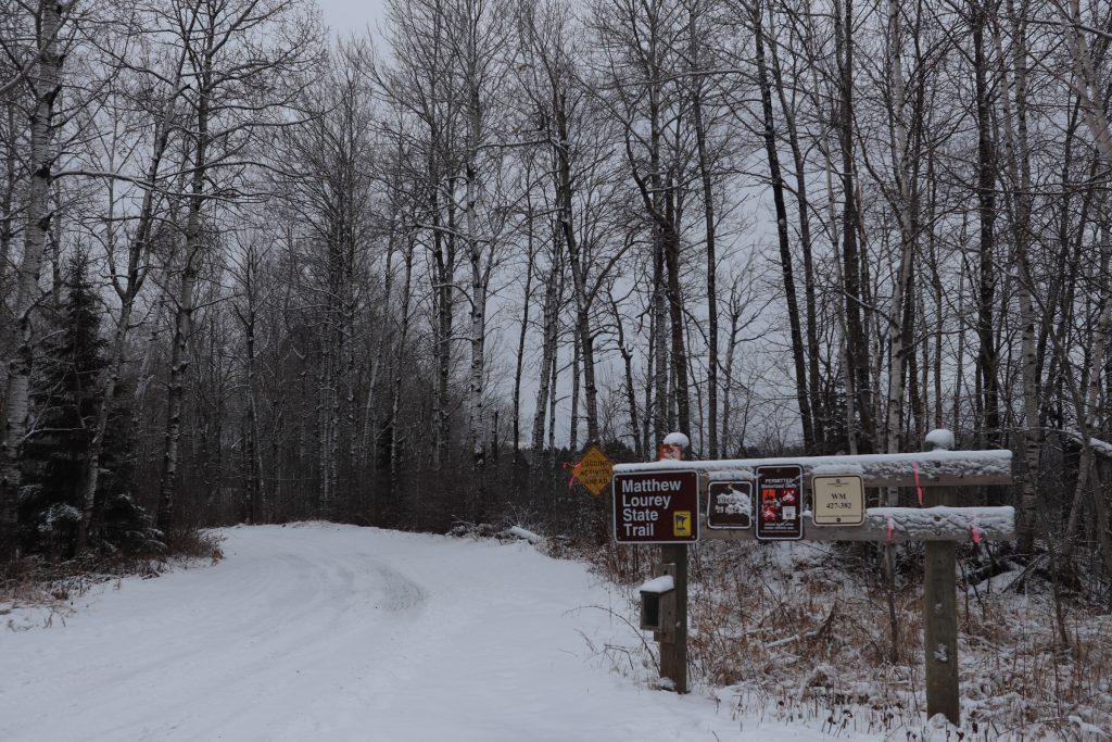 Nemadji State Forest