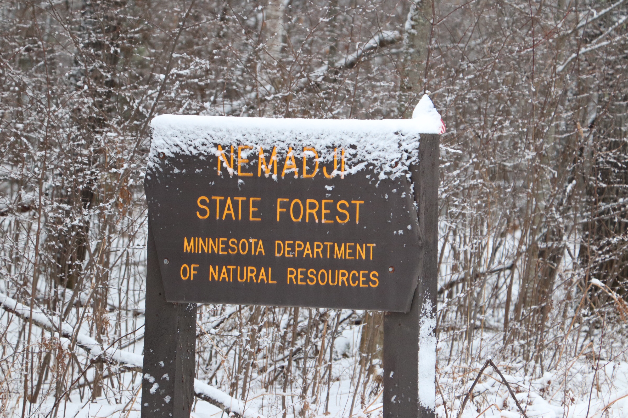 Nemadji State Forest