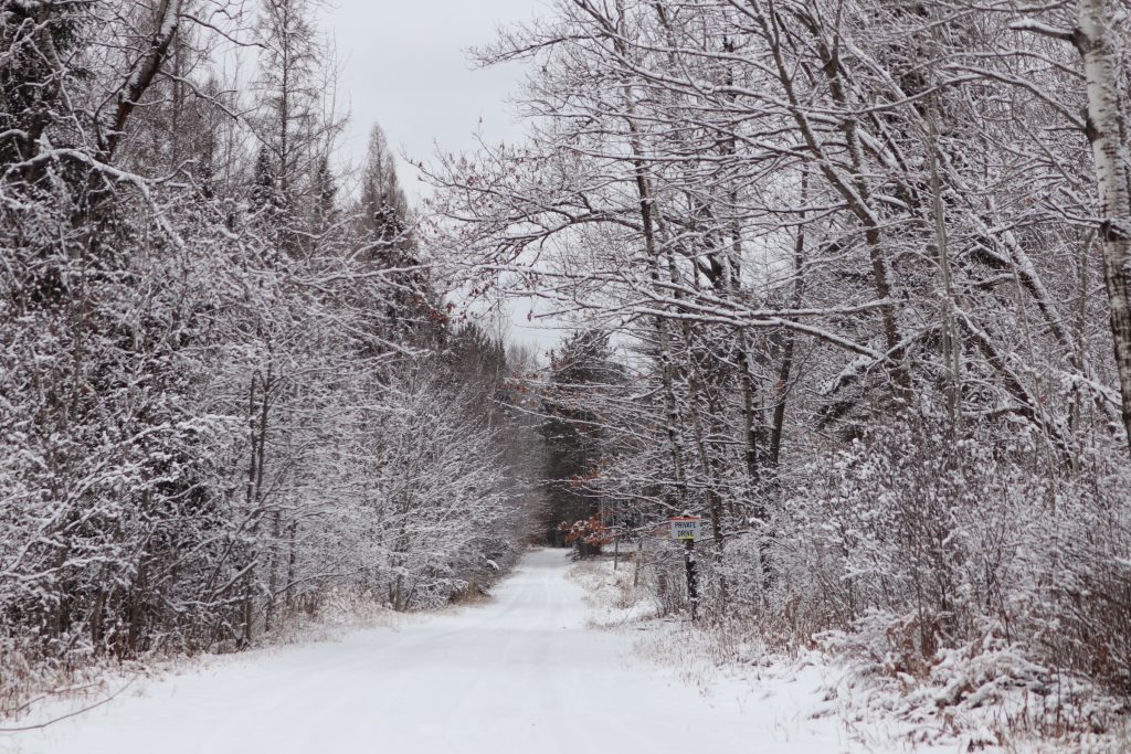 Nemadji State Forest
