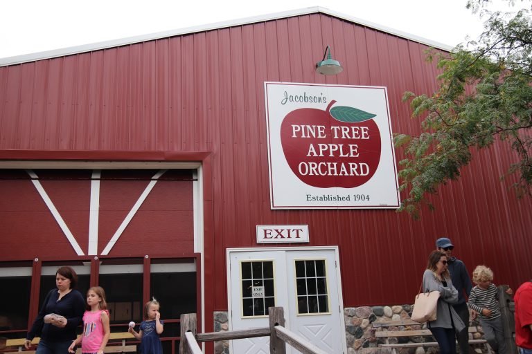 Pine Tree Apple Orchard